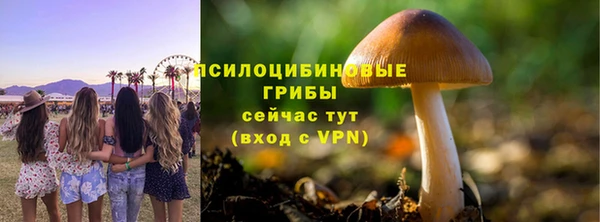 спайс Горно-Алтайск